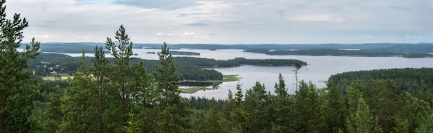 Foresta e grandi laghi in estate, panorama, Finlandia