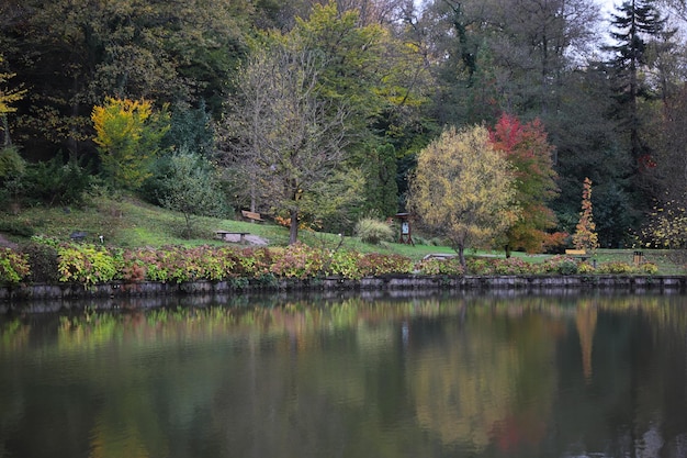 Foresta e lago in autunno