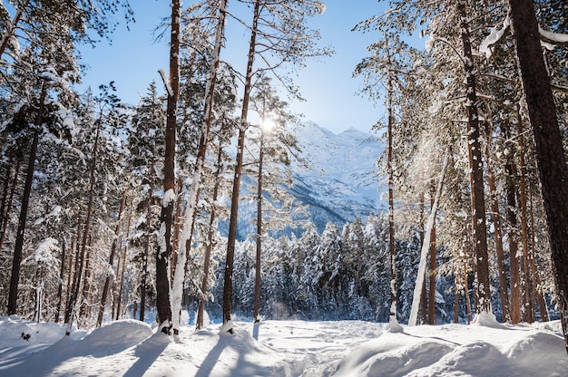 Foresta e montagne invernali al giorno pieno di sole. Bellissimo paesaggio invernale. regione dell'Elbrus. Caucaso, Federazione Russa.
