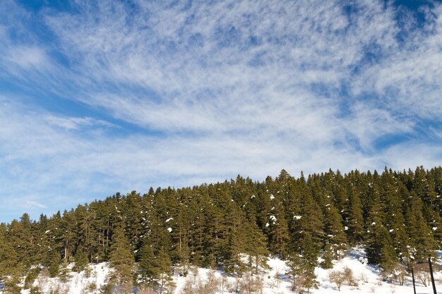Foresta e nuvole da Abant Bolu Turchia