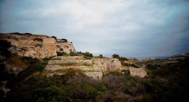 foresta e scogliere bianche