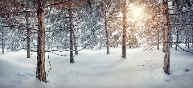 Foresta innevata d'inverno