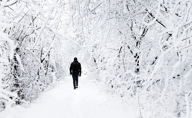 Foresta invernale con silhouette umana