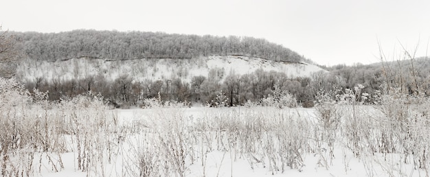 Foresta invernale coperta di brina nel mezzo della Russia