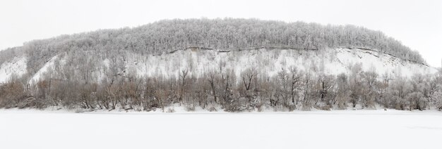 Foresta invernale coperta di brina nel mezzo della Russia.