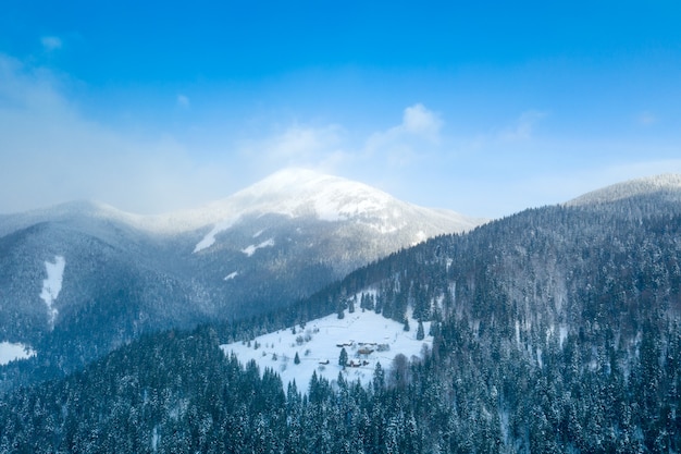 Foresta invernale e la strada