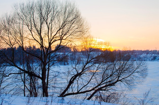 Foresta invernale e un fiume coperto di neve al tramonto