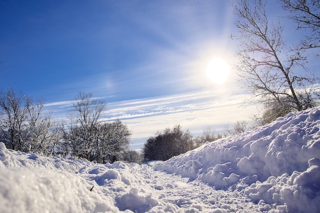 Foresta invernale in una bella giornata gelida e limpida con sole splendente e cielo blu