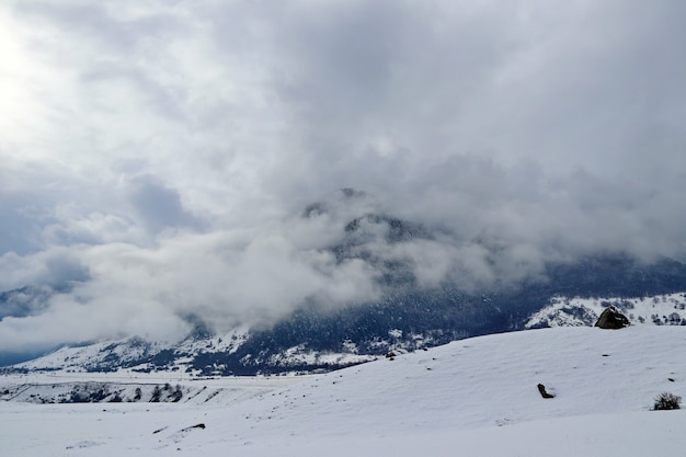 Foresta invernale ricoperta di nebbia su una montagna del Caucaso