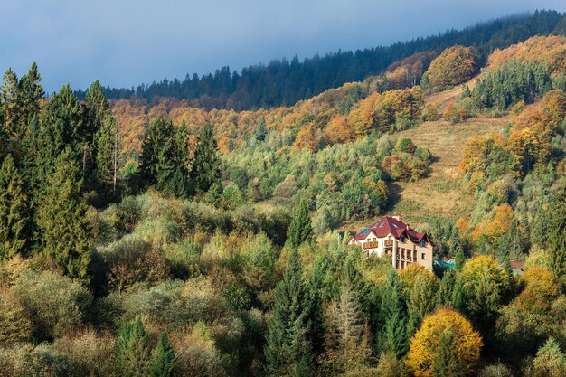 Foresta mista autunnale di montagna con nebbia in cima alla montagna.