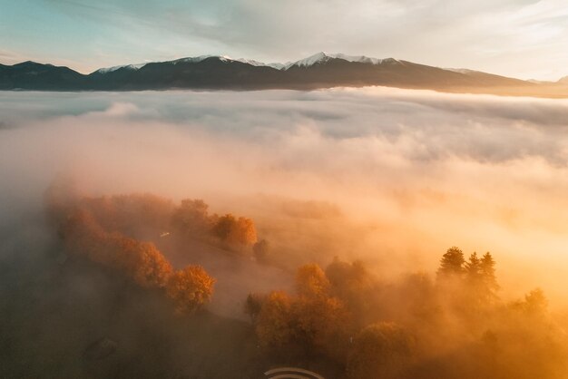 Foresta nebbiosa con raggi solari Vista dall'alto dal drone della valle di montagna in nuvole basse Vista aerea del picco di montagna con alberi verdi nella nebbia
