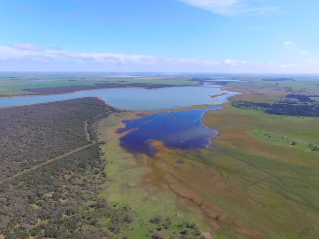 Foresta nella Pampa Argentina