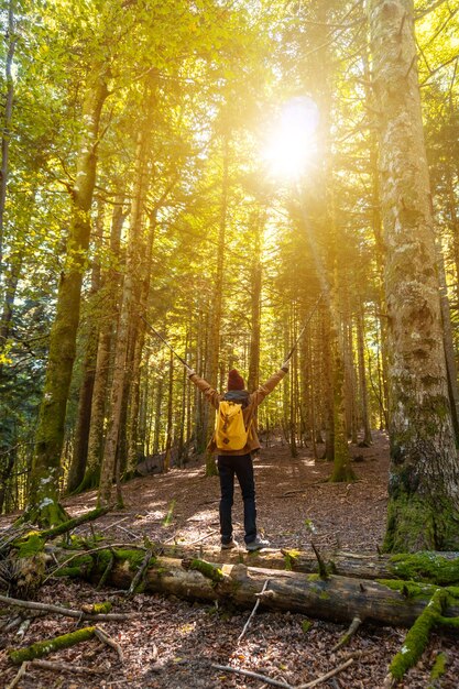Foresta o giungla di Irati in autunno, un giovane escursionista che si gode il trekking al tramonto. Ochagavia, Navarra settentrionale in Spagna