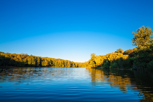 Foresta pittoresca e il fiume