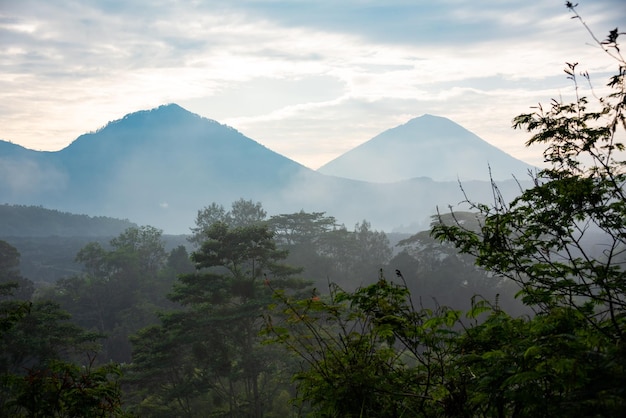 Foresta pluviale nebbiosa e montagne su Bali Indonesia al mattino