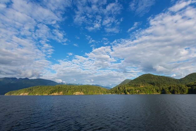 Foresta pluviale nell'isola di Vancouver, British Columbia, Canada