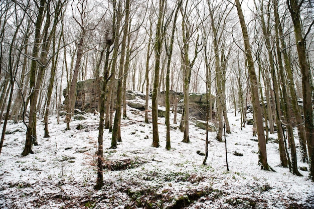 Foresta presso la cascata Scheissendempel ricoperta di neve Mullerthal trail in WaldbilligLuxembourg