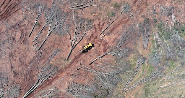 Foresta sgomberata nel cantiere di disboscamento durante la deforestazione