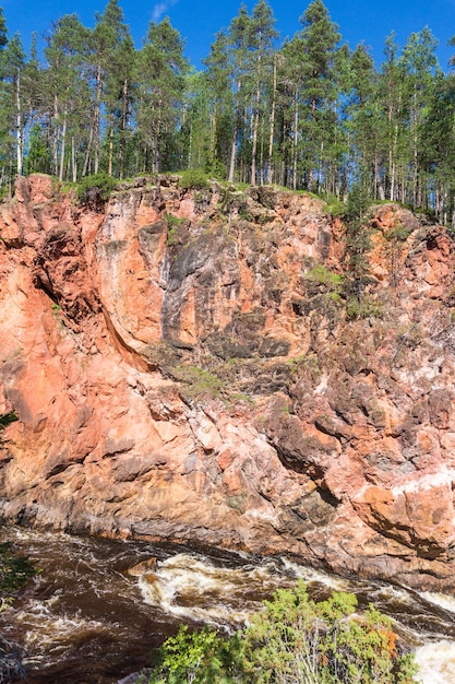 Foresta sulle scogliere sopra il fiume in tempesta, Finlandia. Parco Nazionale di Oulanka