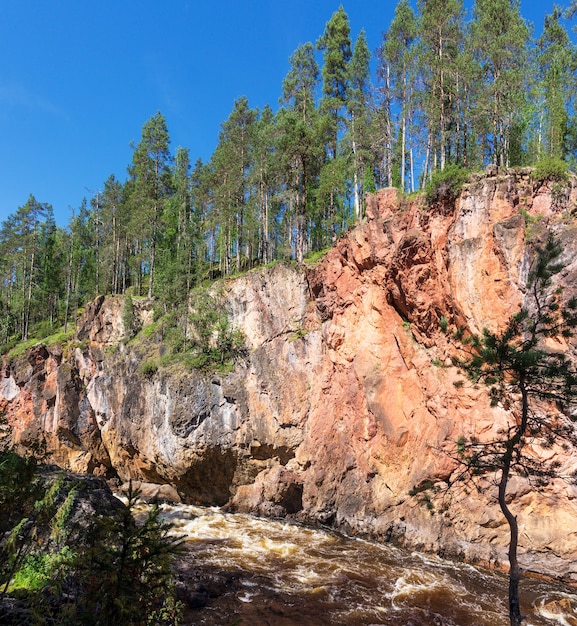 Foresta sulle scogliere sopra il fiume in tempesta, Finlandia. Parco Nazionale di Oulanka