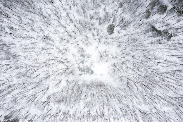 Foresta tenebrosa invernale ricoperta di neve con alberi spogli dalla vista aerea dall'alto.