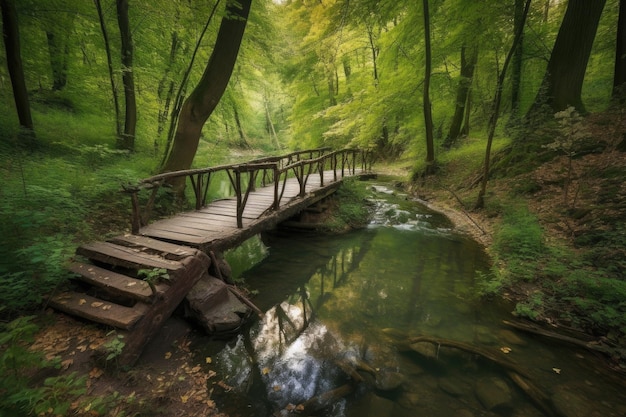 Foresta tranquilla con ruscello cristallino e passerella in legno creata con intelligenza artificiale generativa