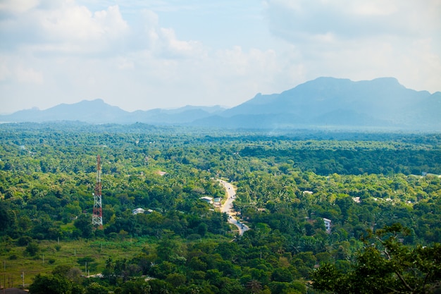 Foresta tropicale dello Sri Lanka