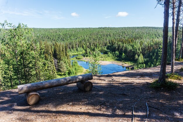Foresta verde e fiume azzurro, Finlandia. Parco Nazionale di Oulanka