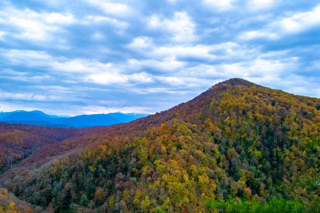 Foresta verde sul pendio di una scogliera alta collina di Eagle Rocks, Parco Nazionale di Sochi, Russia