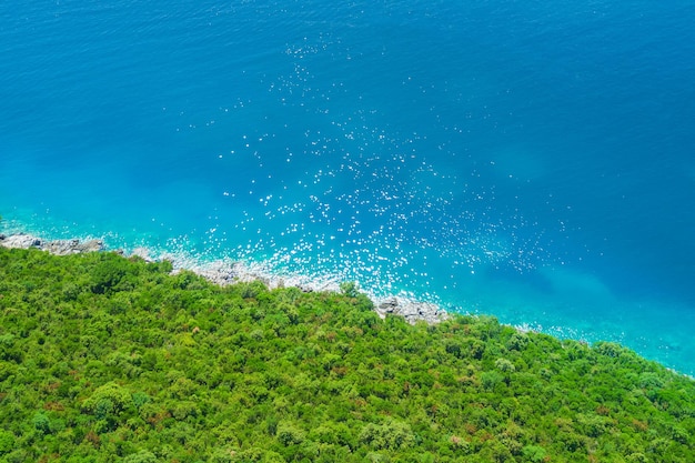 Foresta verde vicino alla vista dall'alto del mare