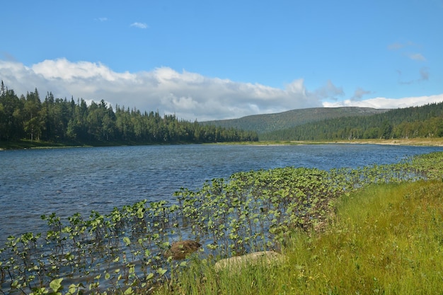 Foresta vergine di Komi Patrimonio naturale mondiale dell'UNESCO