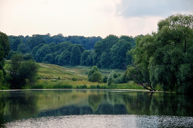 Foresta vicino allo stagno