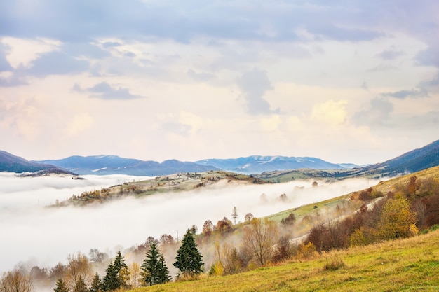 Foreste colorate nelle calde montagne dei Carpazi ricoperte da una fitta nebbia grigia