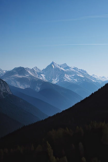 foreste e montagne in francia