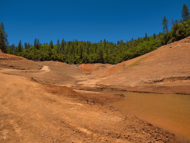 Foreste verdi e la riva secca del lago Shasta in California USA