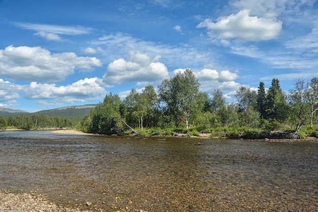 Foreste vergini di Komi