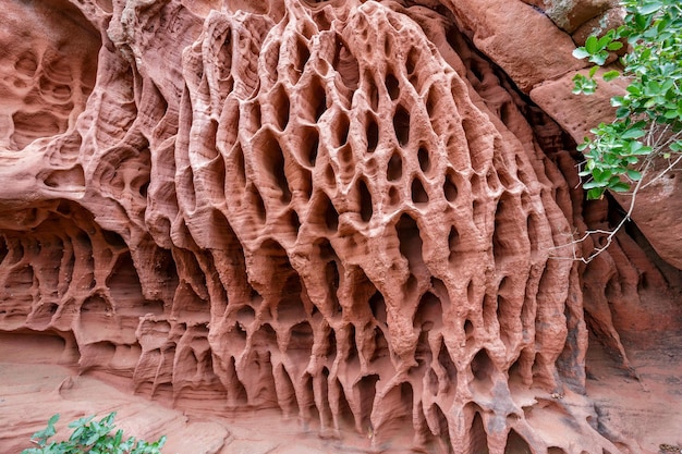 Fori in pietra Tafoni alterata in arenaria rossa