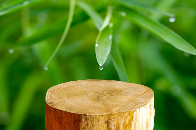 Forma cilindrica rotonda in legno tagliata a sega per l'esposizione del prodotto con sfondo di foglie di bambù