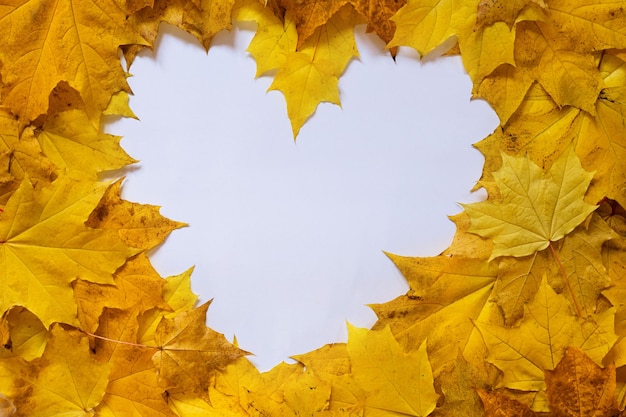 Forma del cuore dalle foglie d'acero che copiano la vista dello spazio dall'alto