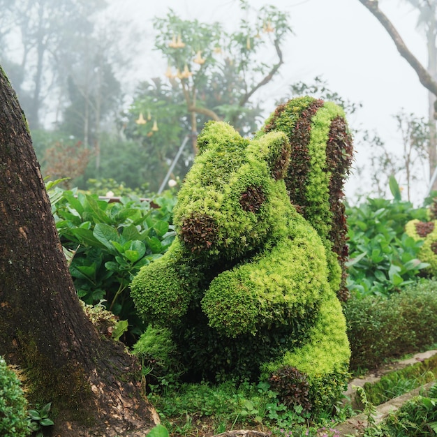 Forma del giardino del coniglio verde in primavera Capodanno