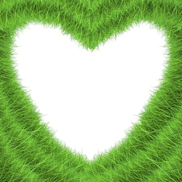 Forma di cuore di erba verde su sfondo bianco