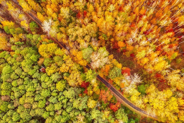 Forma di foresta autunnale colorata sopra con una strada vuota, catturata con un drone. Sfondo del paesaggio naturale stagionale.