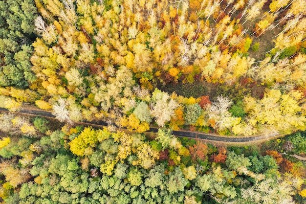 Forma di foresta autunnale colorata sopra con una strada vuota catturata con un drone Sfondo naturale del paesaggio stagionale