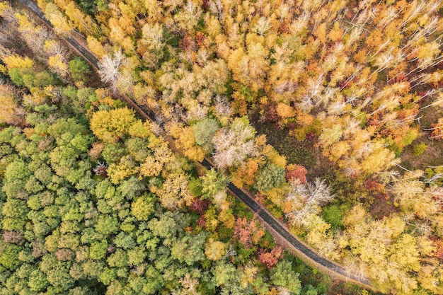 Forma di foresta autunnale colorata sopra con una strada vuota catturata con un drone Sfondo naturale del paesaggio stagionale