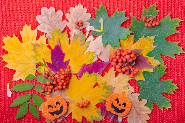 Forma di zucca con un sorriso spaventoso Halloween su uno sfondo autunnale colorato di foglie secche, bacche su uno sfondo rosso lavorato a maglia. Concetto di tempo di vacanza di Halloween