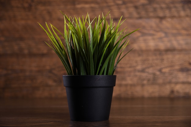 Forma differente dell'erba di fiori artificiali in un vaso sulla fine di legno del fondo su con lo spazio e il testo della copia