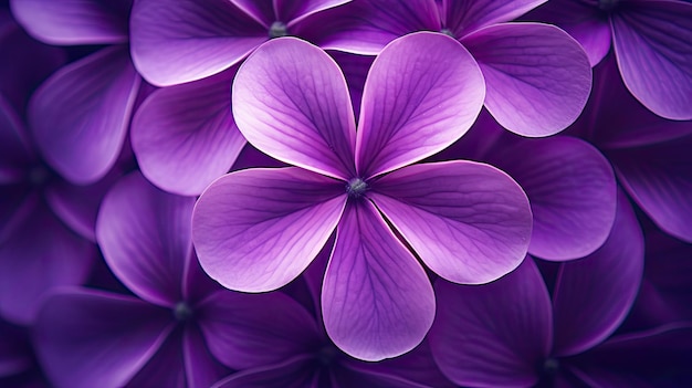 Forma geometrica sfondo viola