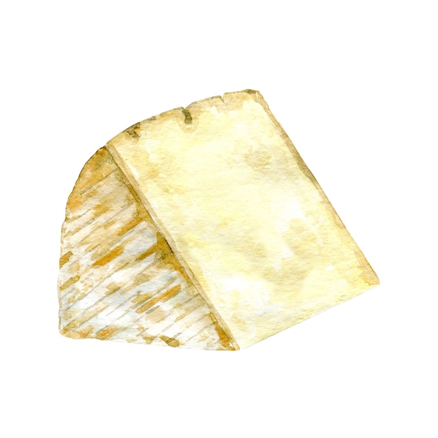 Formaggio con muffa