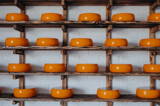 Formaggio di capra ruota su rack nel magazzino di fabbrica diverse teste di formaggio stagionato visualizzate sugli scaffali