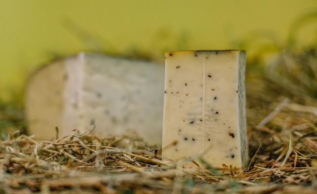 Formaggio francese tradizionale nel fieno per la vendita sul mercato della Normandia Francia